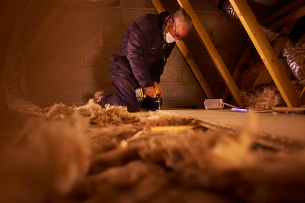 Best Commercial Insulation in Ome, GA